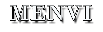 This is MENVI's logo. It has MENVI in all caps.